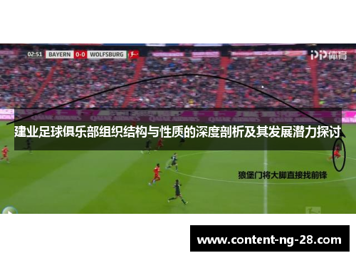 建业足球俱乐部组织结构与性质的深度剖析及其发展潜力探讨 建业足球俱乐部组织结构与性质的深度剖析及其发展潜力探讨
