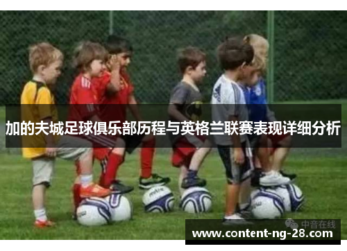 加的夫城足球俱乐部历程与英格兰联赛表现详细分析 加的夫城足球俱乐部历程与英格兰联赛表现详细分析