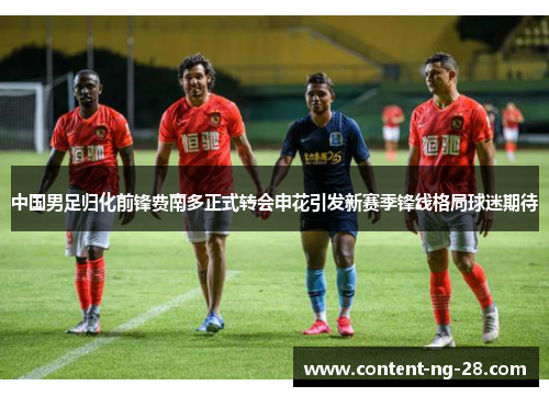 中国男足归化前锋费南多正式转会申花引发新赛季锋线格局球迷期待