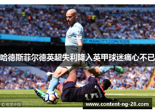 哈德斯菲尔德英超失利降入英甲球迷痛心不已 哈德斯菲尔德英超失利降入英甲球迷痛心不已