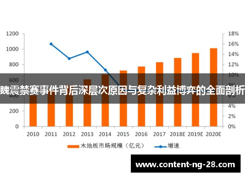 魏震禁赛事件背后深层次原因与复杂利益博弈的全面剖析